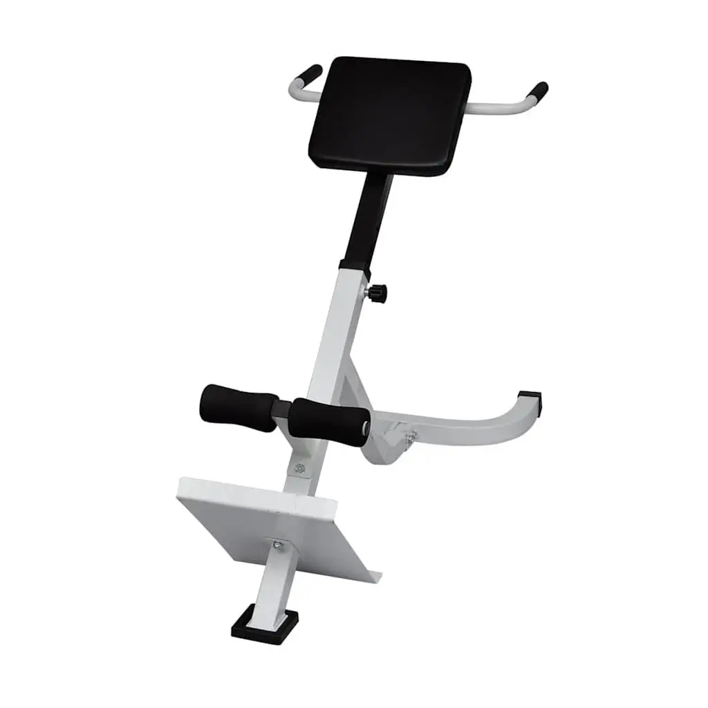 Adjustable Height Back Extension Bench for Home Gym
