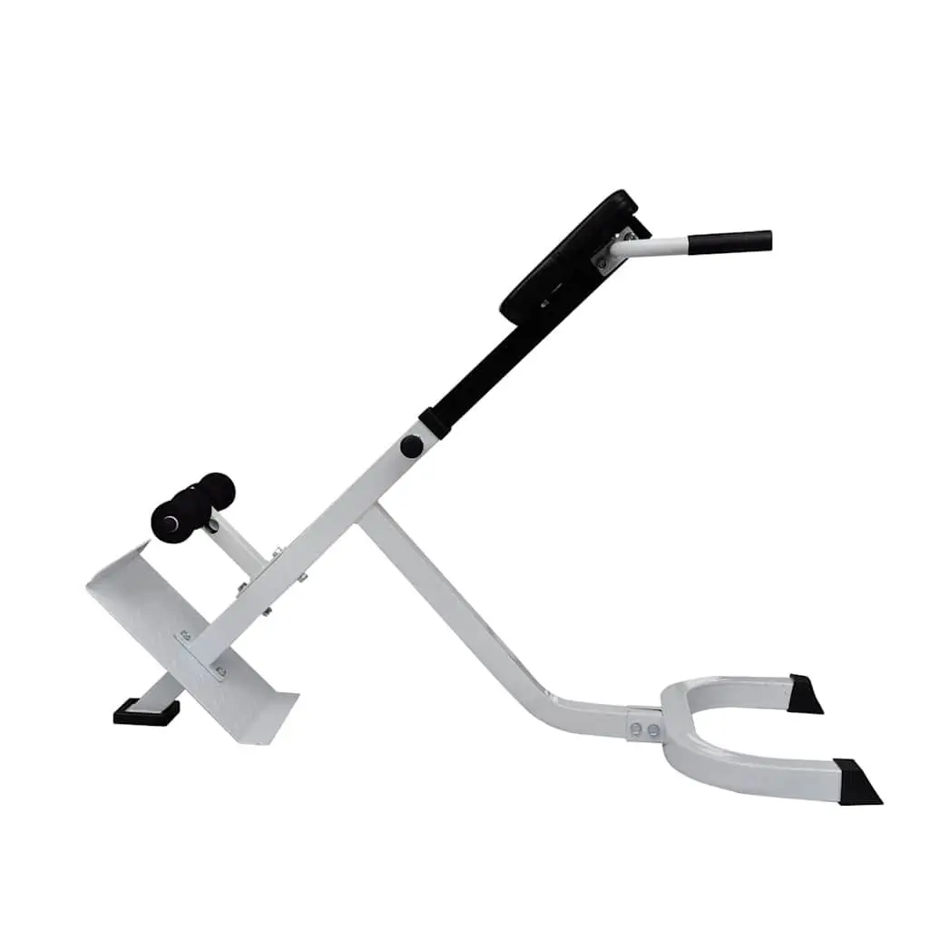 Adjustable Height Back Extension Bench for Home Gym
