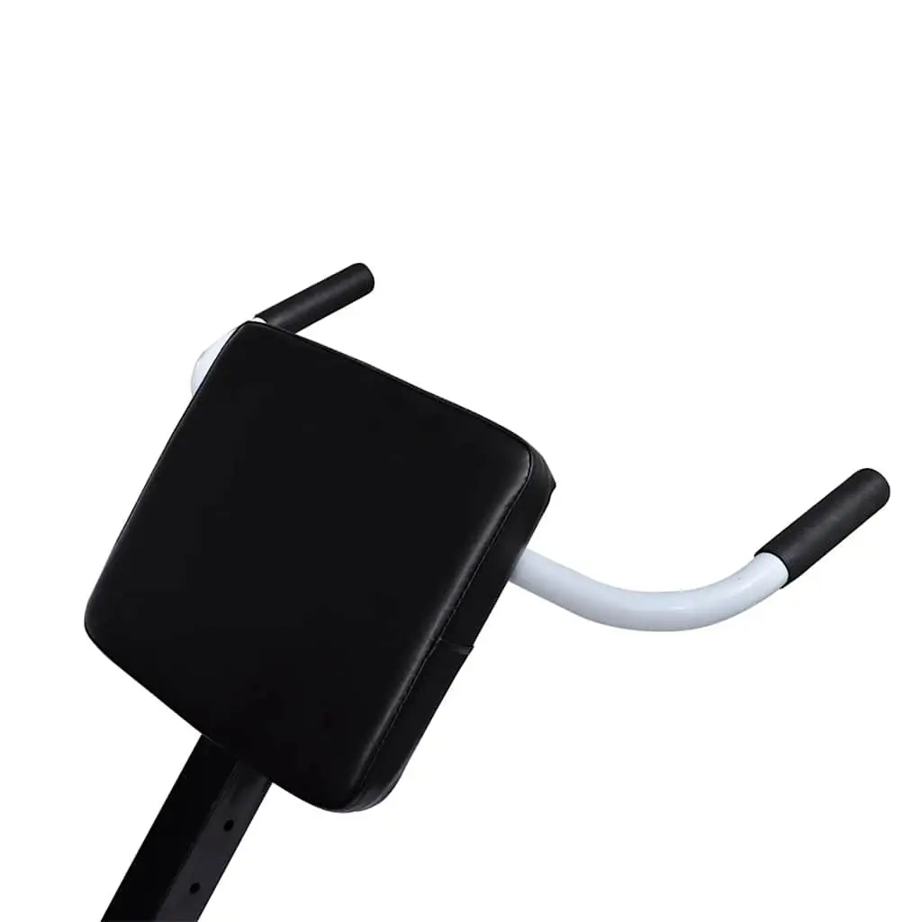 Adjustable Height Back Extension Bench for Home Gym