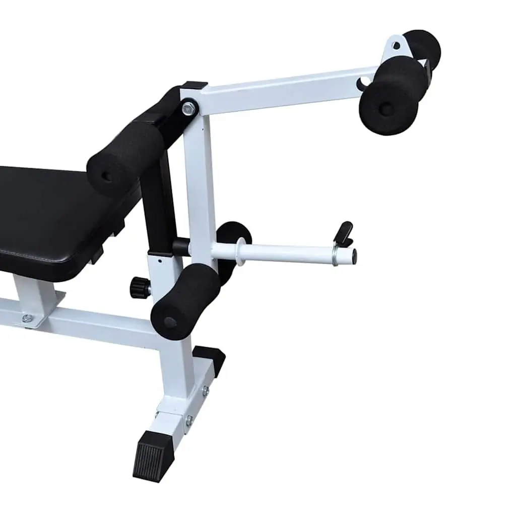 Multi-Bench for Complete Body Weight Training