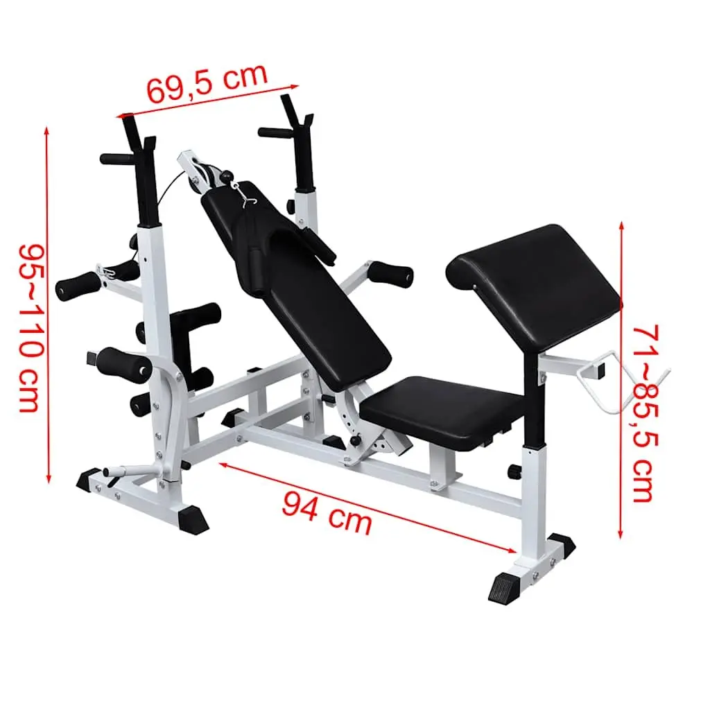 Multi-Bench for Complete Body Weight Training