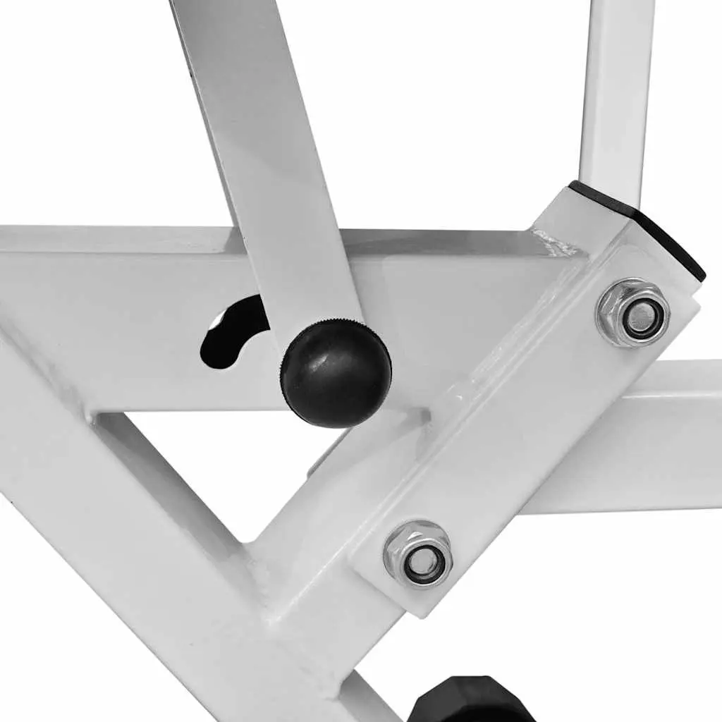 Adjustable Backrest Workout Bench for Home Gym