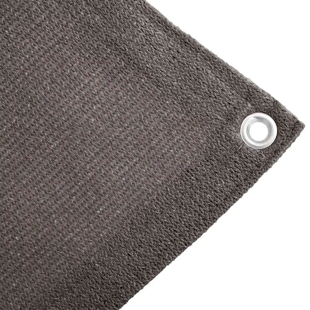 Tent Carpet 300x500cm for Camping with Eyelets