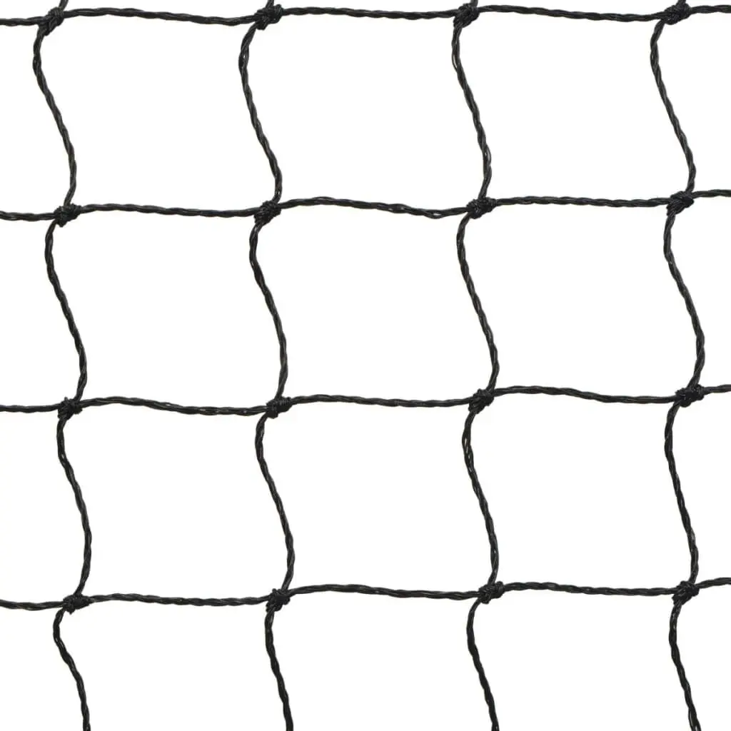Badminton Net Set with Shuttlecocks for Outdoor Fun