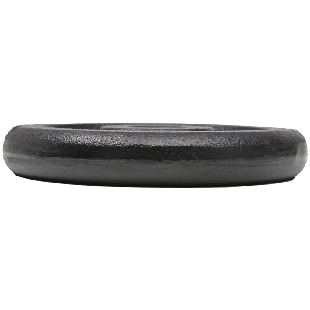 Cast Iron Weight Plates 8 Pieces 2.5 kg Each Barbell Dumbbell Home Gym Training
