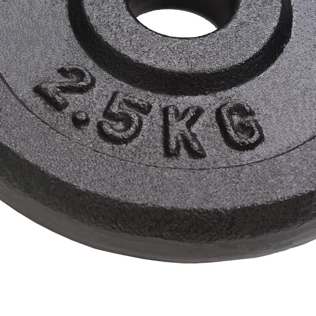 Cast Iron Weight Plates 8 Pieces 2.5 kg Each Barbell Dumbbell Home Gym Training