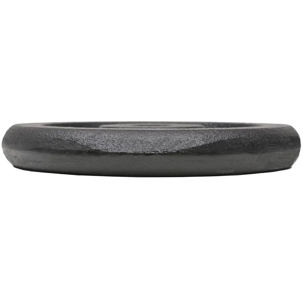 Cast Iron Weight Plates Set 4 Pieces 10kg 5kg