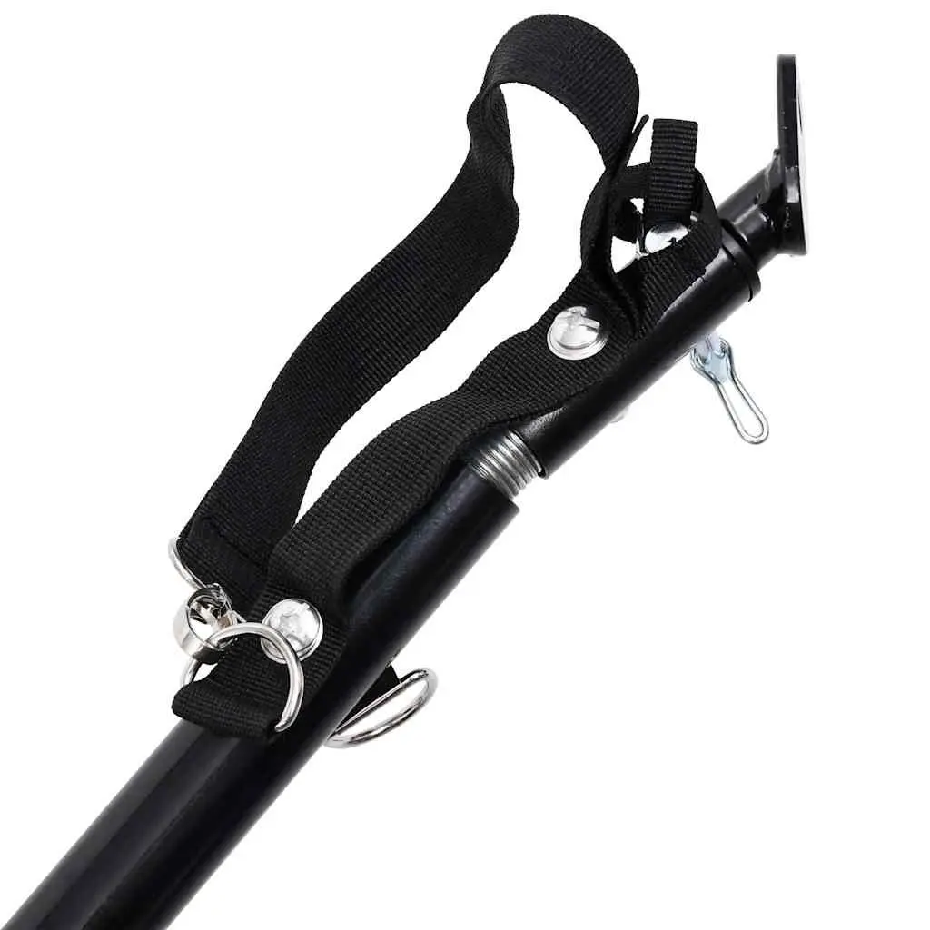 2-in-1 Pet Bike Trailer and Jogging Stroller