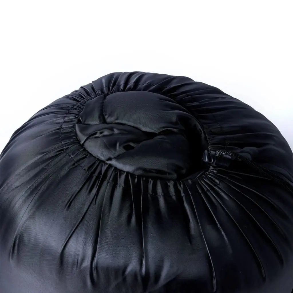 Double Sleeping Bag for Camping with Pillows