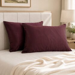 Luxurious Mulberry Silk Pillowcase Twin Pack 51x76cm
