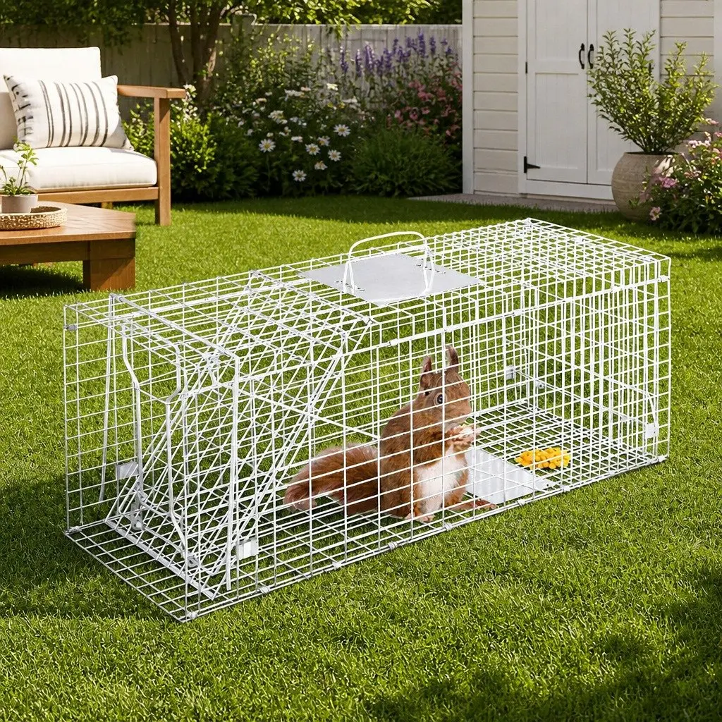 Animal Trap Cage Galvanised Iron 79x28cm Silver