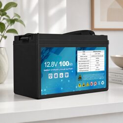 Rugged 12V LiFePO4 Deep Cycle Battery with ABS Case