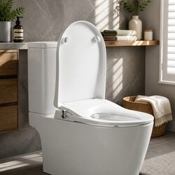 D-Shape Non-Electric Bidet Toilet Seat with Dual Nozzles
