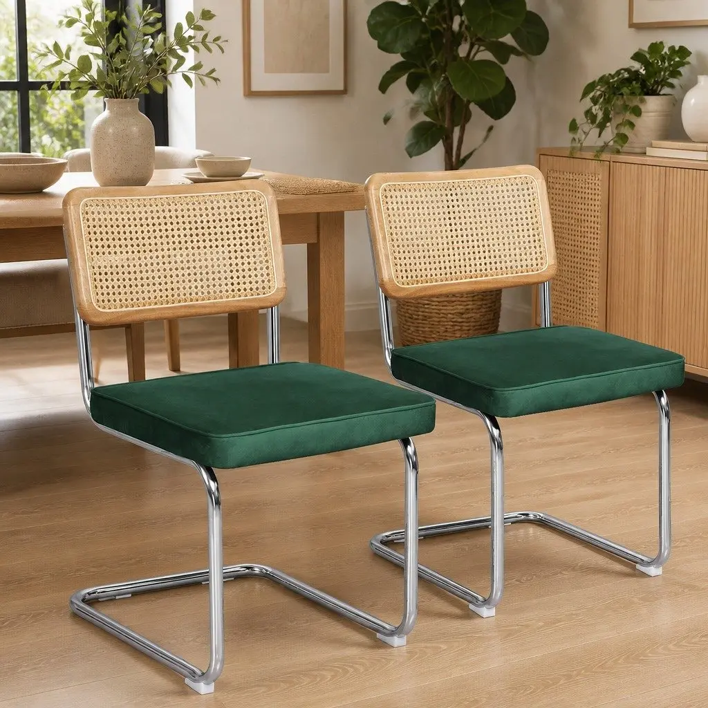 Dining Chairs Set of 2 with Rattan Backrest