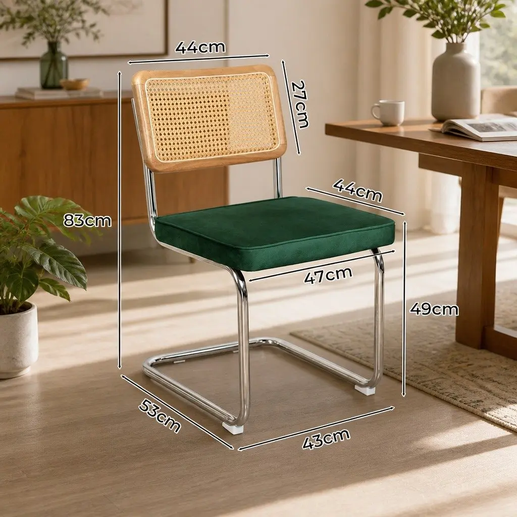 Dining Chairs Set of 2 with Rattan Backrest