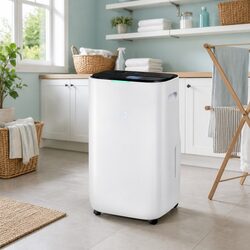 Large Room Dehumidifier 20L/Day with Air Purifier Fan