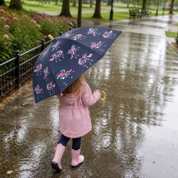 High-Quality Colour Changing Umbrella with Pegasus Design