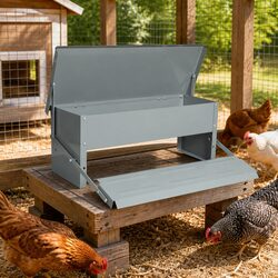 Timed Automatic Chicken Feeder 10KG with Robust Design