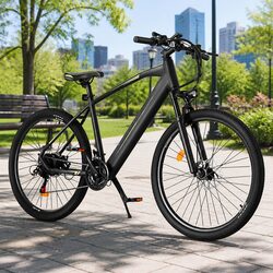 27.5 Inch Electric Mountain Bike with 250W Motor