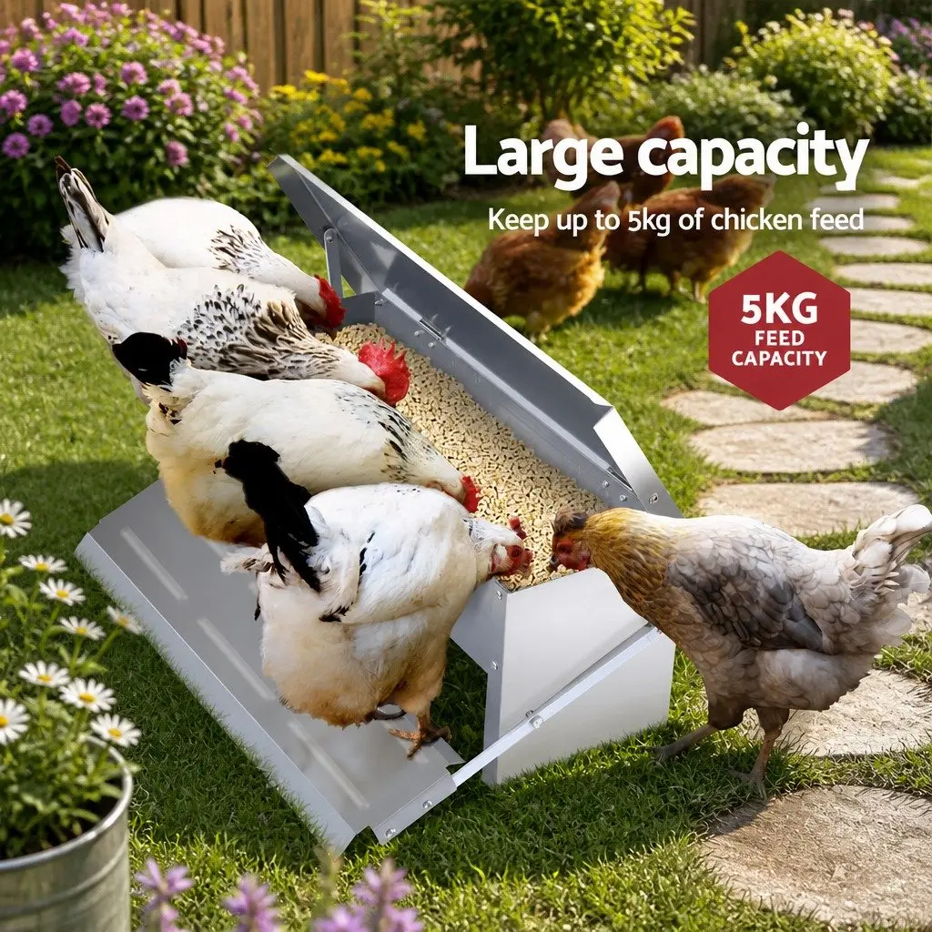 5KG Galvanized Steel Automatic Chicken Feeder
