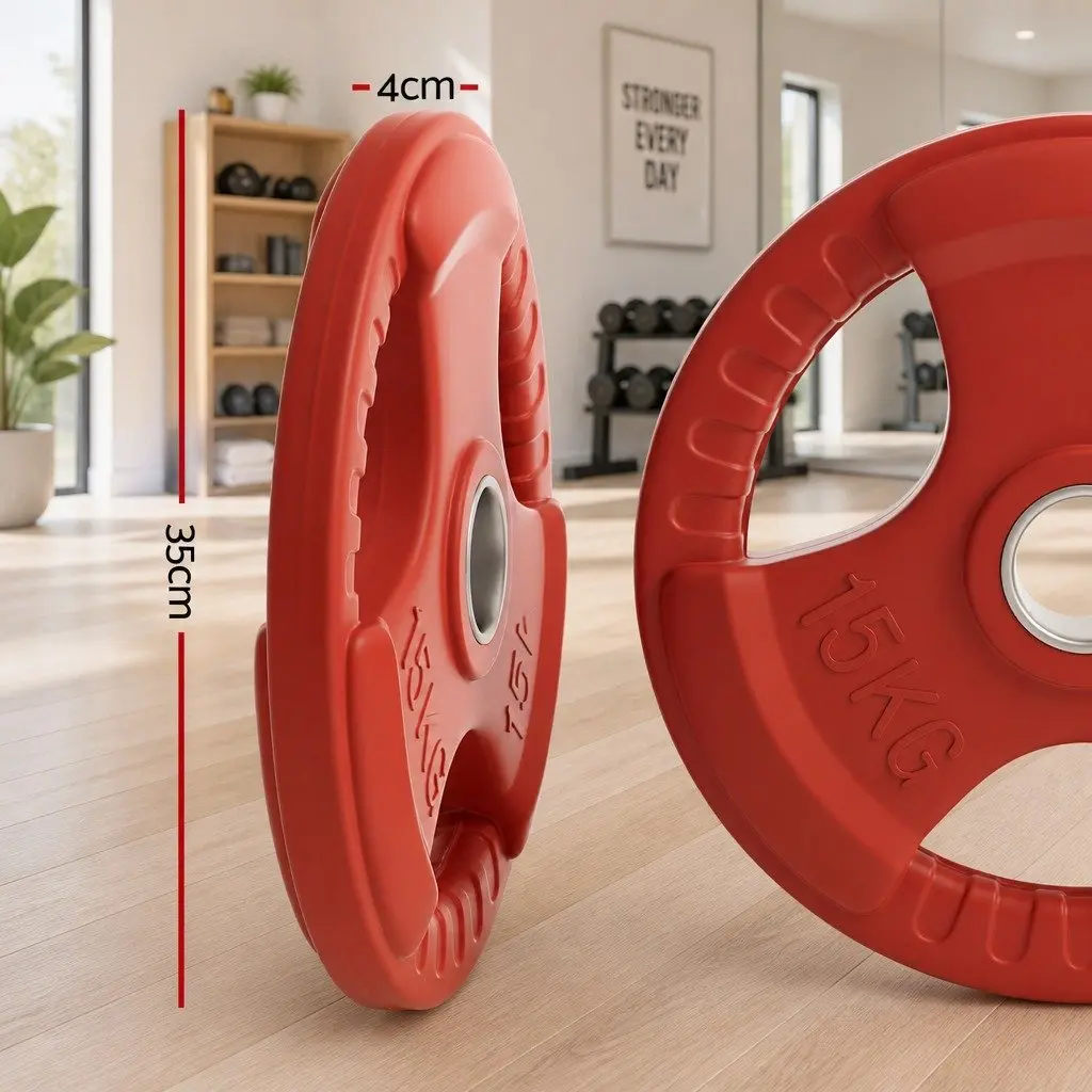 Weight Plate Cast Iron 15kg Red