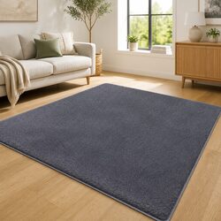 Dark Grey Plush Area Rug 200x230cm for Living Spaces