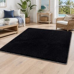Luxurious Plush Shaggy Area Rug 200x290cm in Black
