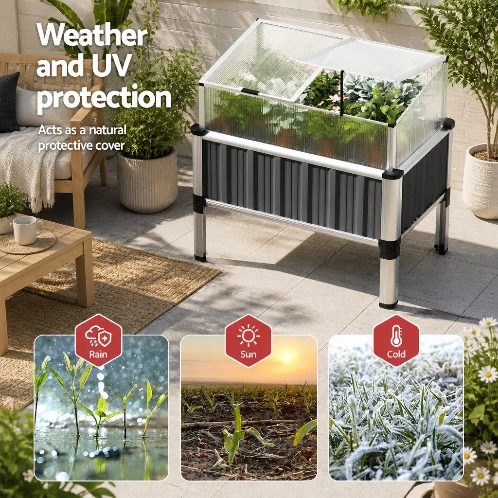 Raised Garden Bed with Greenhouse Protection