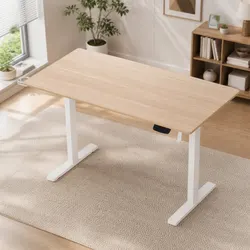 Height Adjustable Electric Sit Stand Desk with Touch Control
