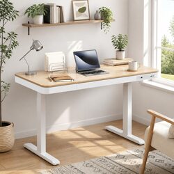 Electric Sit Stand Desk Motorised Dual Motor Height Adjustable 120cm Walnut
