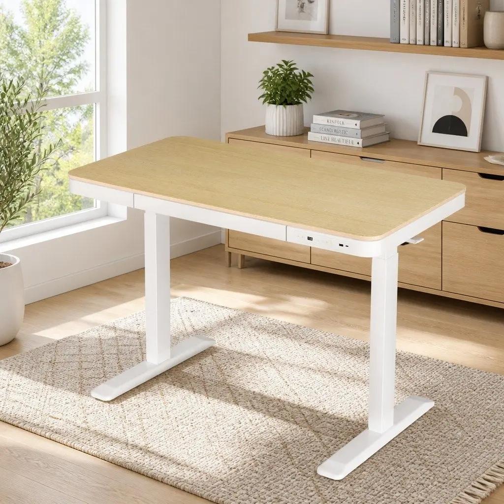 Height Adjustable Electric Desk Walnut Particle Board 120cm Dual Motor with Storage Drawer and USB Charging Ports