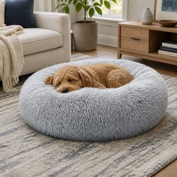 Calming Donut-Shaped Pet Bed in Medium Grey