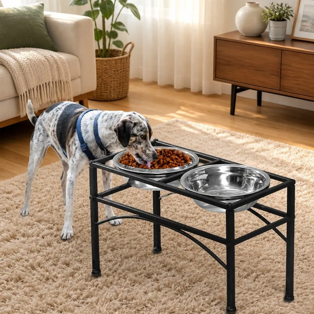 Dual Elevated Pet Feeder Stainless Steel Bowls Medium Black Iron Base