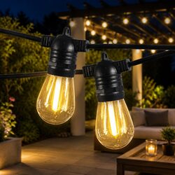 30M Heavy-Duty Festoon String Lights with 30 LED Bulbs