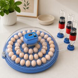 High-Quality 52 Egg Incubator with Automatic Turning
