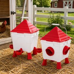 Premium Automatic Chicken Feeder and Waterer Set