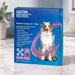 Premium Chewable Parasite Treatment for Dogs 15.1-30kg