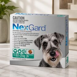 Oral Flea and Tick Chewable Tablets for Large Dogs 10.1-25kg Protection 6 Pack