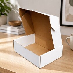 Self-Locking White Cardboard Mailer Box 250x180x75mm 100pk