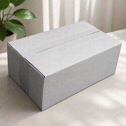 Sturdy RSC Carton 270x160x100mm White Box 100 Pack