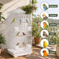 100cm Bird Cage Aviary Parrot Budgie Cockatiel Hanging Tabletop with Perches