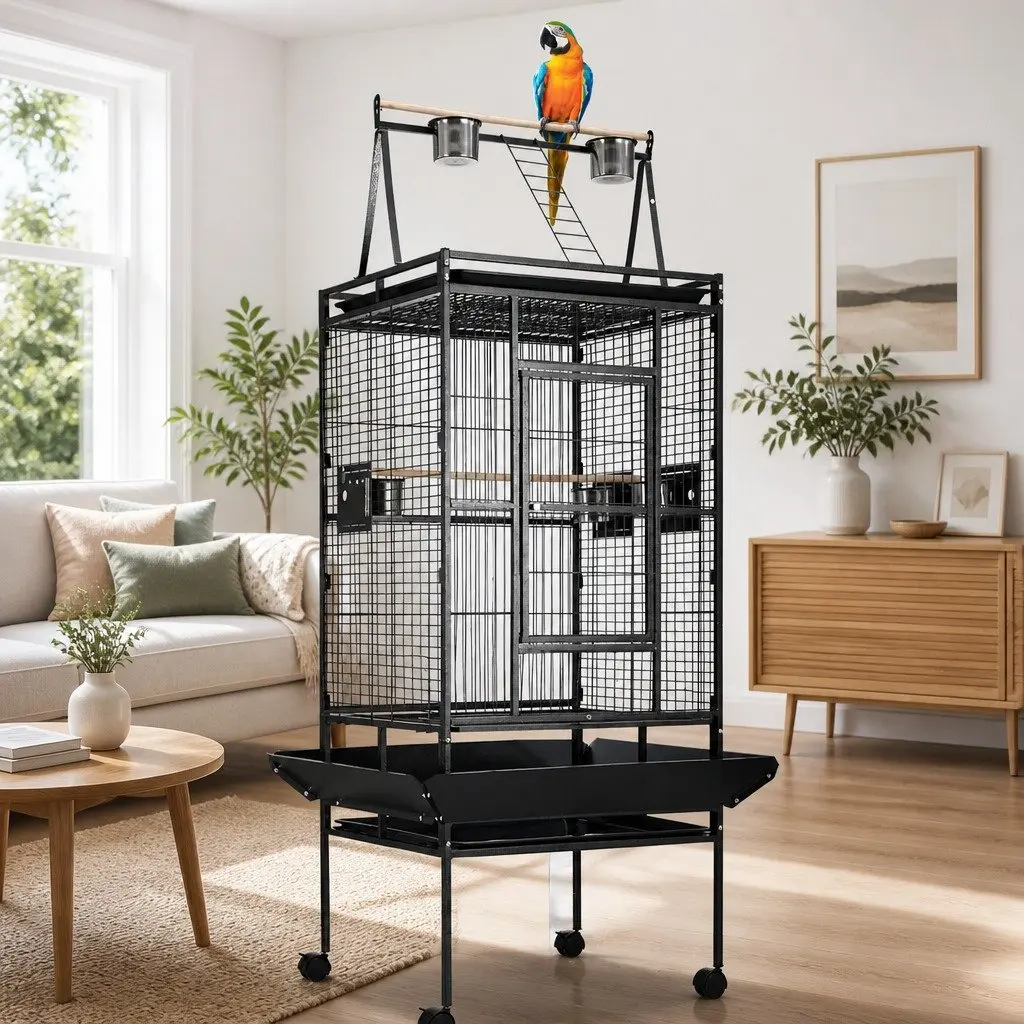 Large Bird Cage Aviary 173cm with Essential Accessories