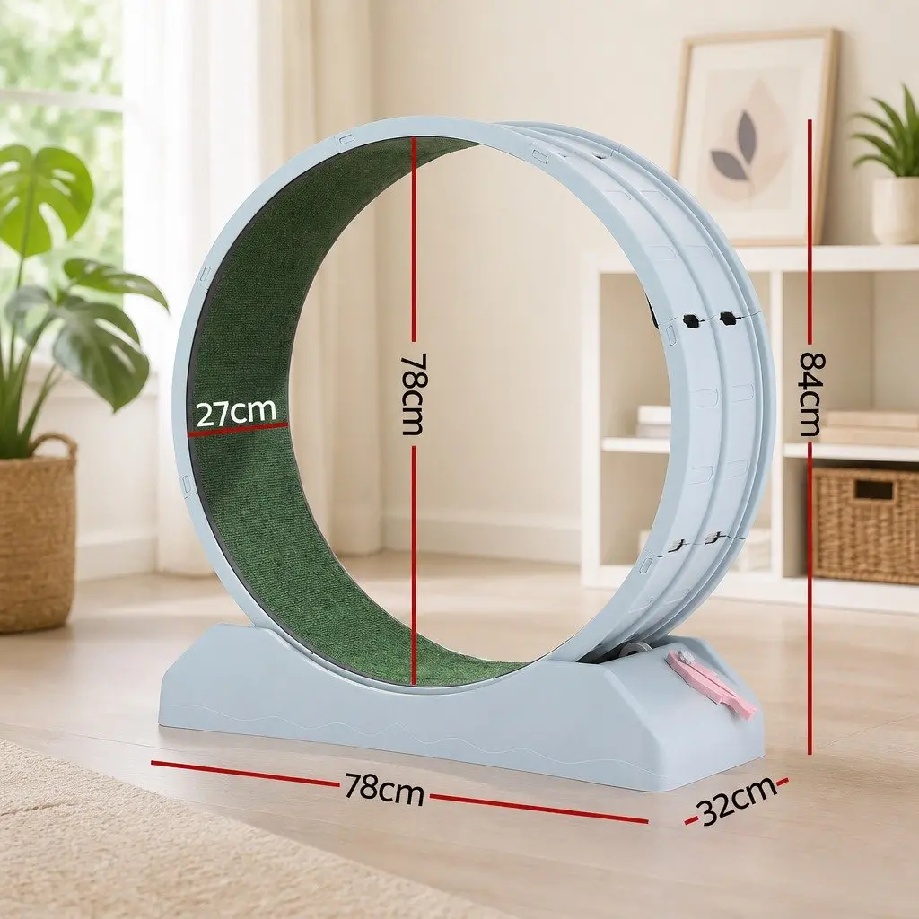 Cat Exercise Wheel Treadmill with Mute Roller
