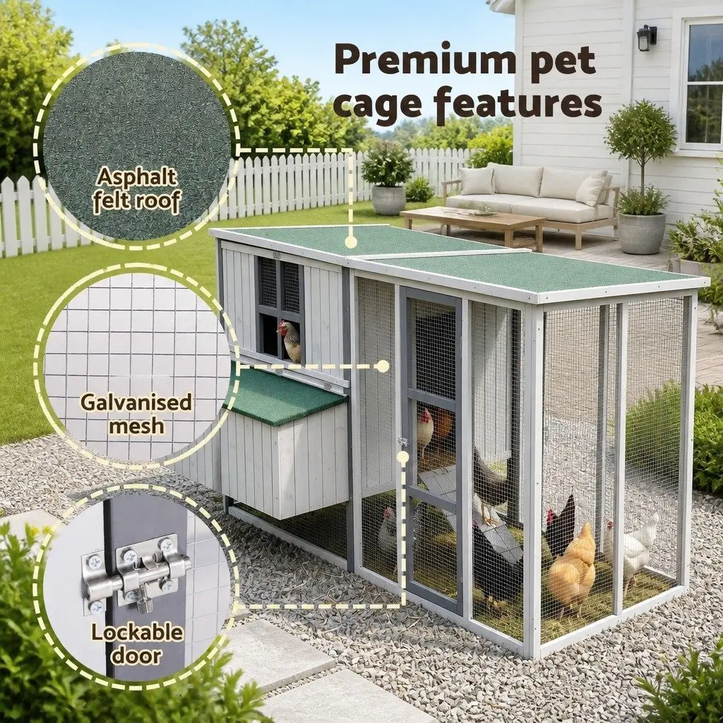 Chicken Coop Fir Wood 219cm Grey