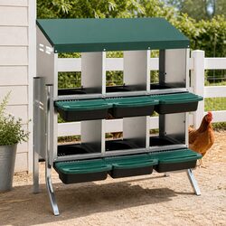 Chicken Nesting Box 6 Holes Roll Away Metal Wall Mounted Green Automatic Egg