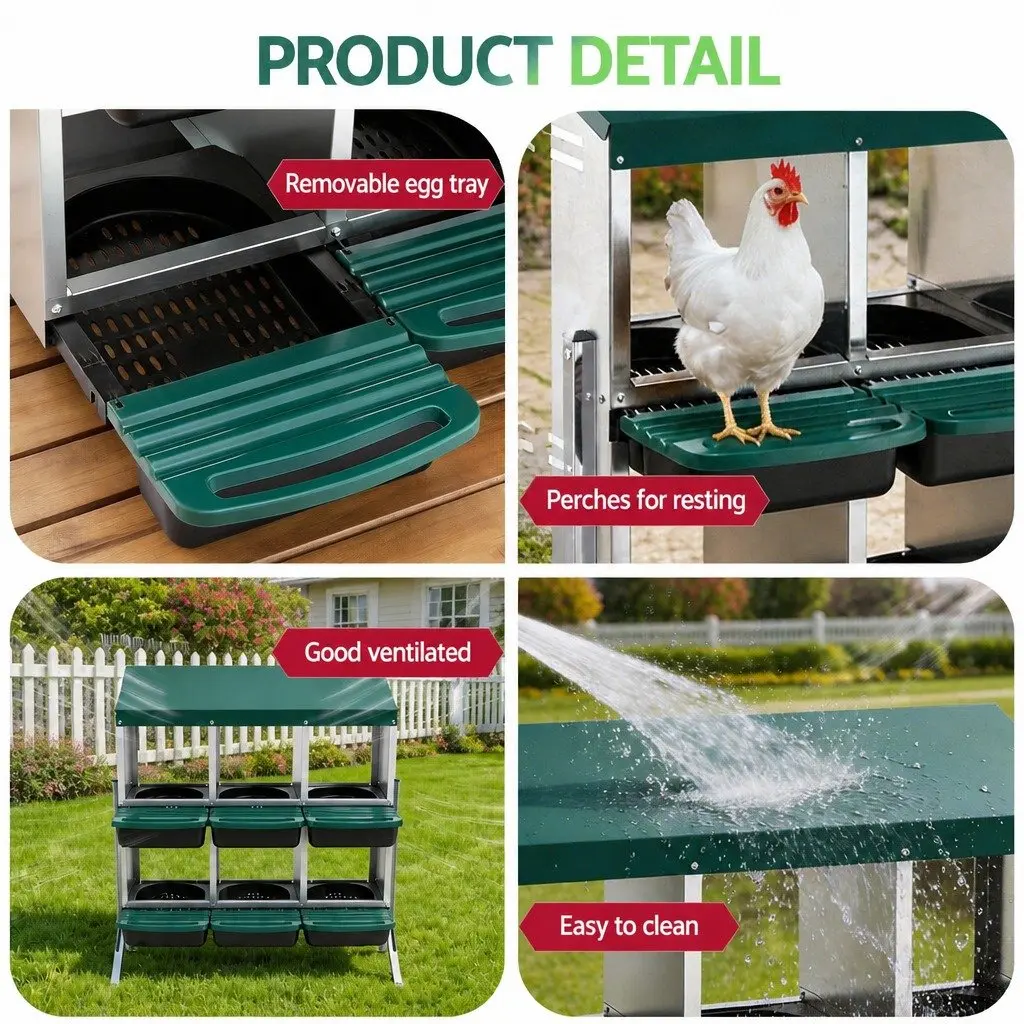 Chicken Nesting Box 6 Holes Roll Away Metal Wall Mounted Green Automatic Egg