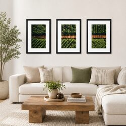 Premium 3 Piece A3 Photo Frame Set for Home Decor