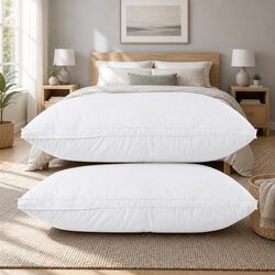 Standout Quality Duck Feather Down Pillow Twin Pack