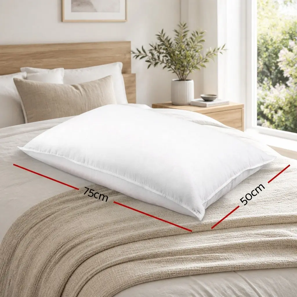 Duck Feather Down Pillow Twin Pack White