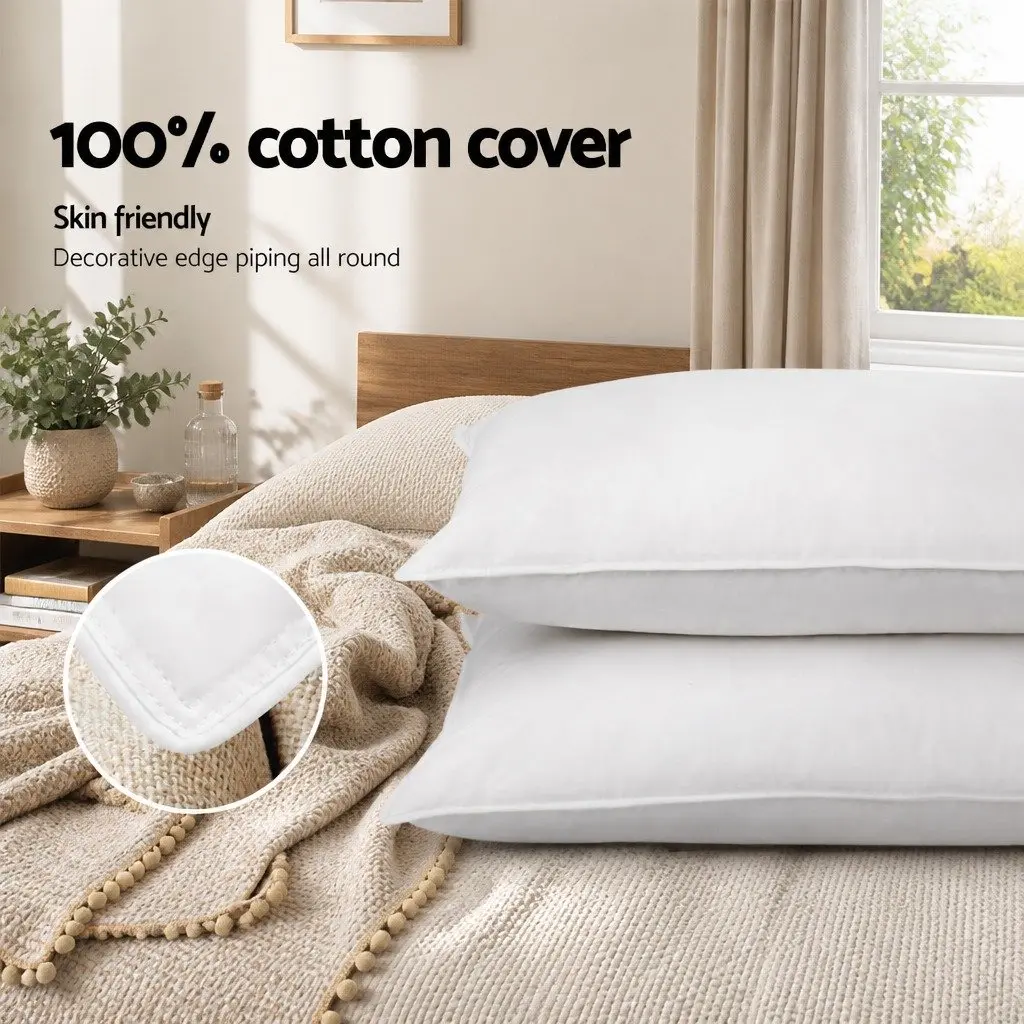 Duck Feather Down Pillow Twin Pack White